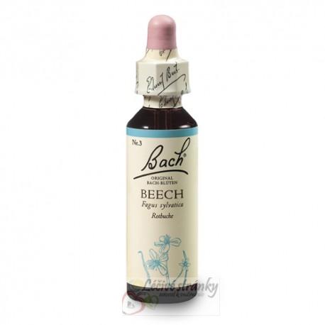 03. BEECH - Buk lesní