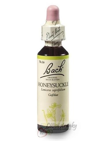16. HONEYSUCLE - Zimolez kozí list
