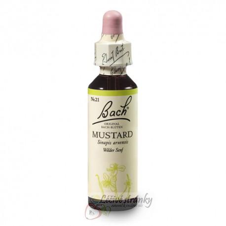 21. MUSTARD - Hořčice polní